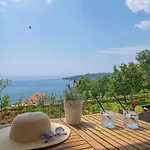 Vista *