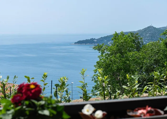 Apartman Vista