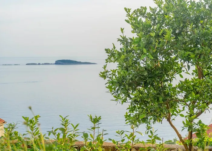 Apartman Vista Mlini